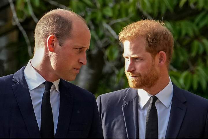 Prince Harry wants to reconcile ‘complicated relationship’ with brother, father